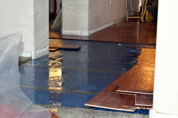 Professional Burst Pipe Cleanup technician working in Oxford, MI
